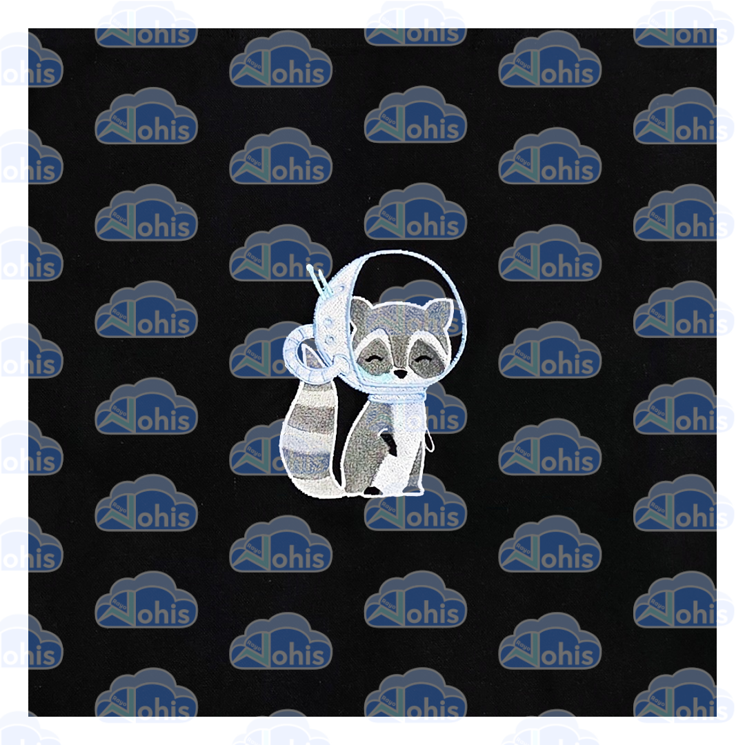 Canvas Tote Bag - Space Raccoon