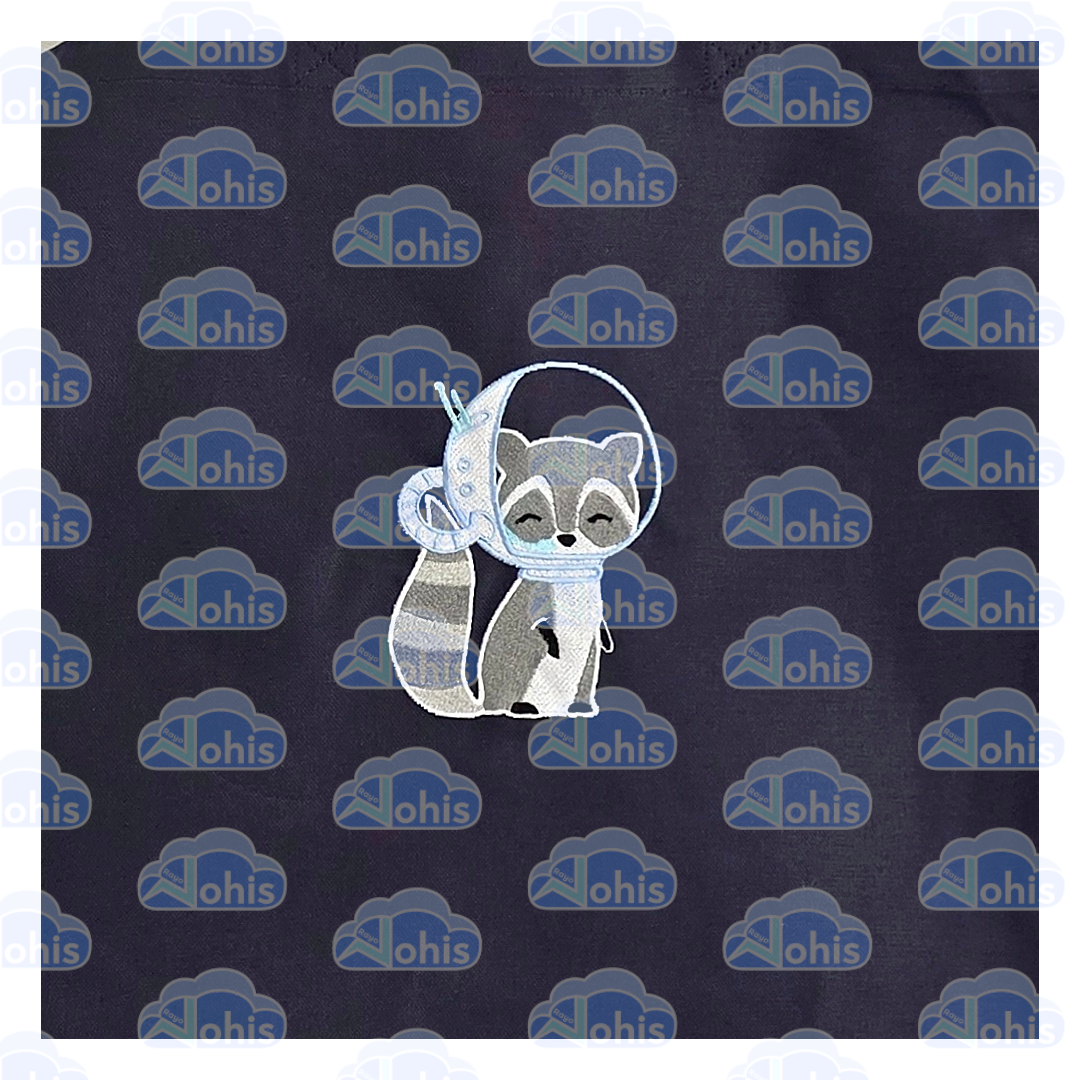 Canvas Tote Bag - Space Raccoon